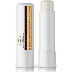 Lr Wonder Company Hyaluronic Miele Rouge Levre 1ut