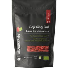 Sitar Goji Xing dal Bio 480g