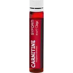 Syform Carnitine 25ml