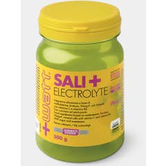 Watt Sali+ Electrolyte Energizer Citron 500g