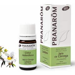 Pranarôm Jara cv Córcega bio 5ml