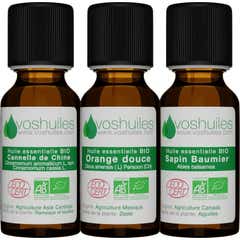 Voshuiles Kit Les 3 Huiles Essentielles Senteurs de Noël Bio