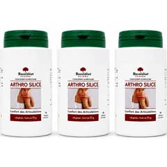 Exceldiet Pharma Arthrosilice 360 Gélules