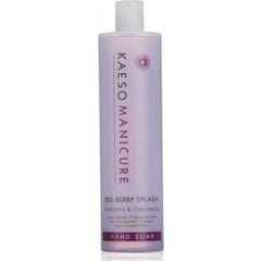 Kaeso Red Berry Savon Mains 495ml