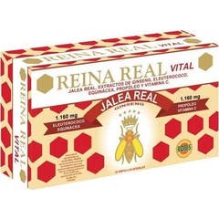 Robis Reina Real Vital 30 Ampoules