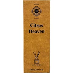 Iap Pharma Mikado Parfum d’intérieur Citrus Heaven 100 ml