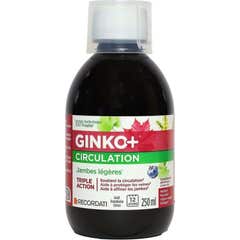 Ginko+ Circulation Bebible 250ml