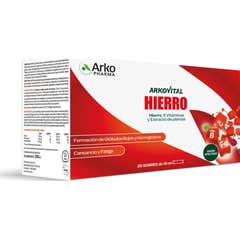 Arkovital Hierro 20 Sobres