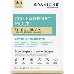 Granions Collagène Multi Type I-Ii-Iii-Vx 260g