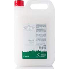 D-vinity Coconut Daiquiri Tec Condit 5l