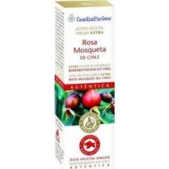 Esential Aroms Huile de Rose Musquée 15ml