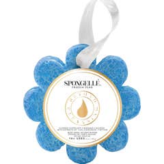Spongellé Freesia Pear Daisy Flower Collection Bath Sponge 85 gr