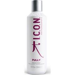I.C.O.N. Fully Shampooing Antioxydant 250ml