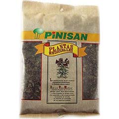 Zaragatona de Pinisan 50g