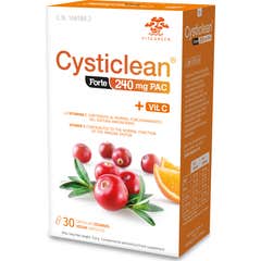 Sync by n17t01 Cysticlean™