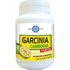 Bodyline Garcinia Cambogia Forte 60caps