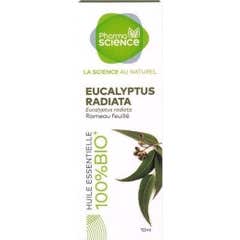 Pharmascience Huile Essentielle Eucalyptus Radiata 10ml
