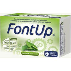 FontUp 60 gelules