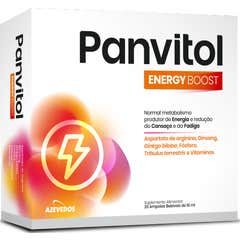 Panvitol Energy Boost 20x10ml