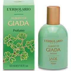 Parfum d'arbre de jade 50Ml