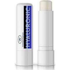 Lr Wonder Company Hyaluronic Cocco Rouge Levre 1ut