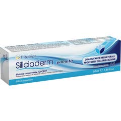 Fitobios Siliciaderm Pomata 50Ml