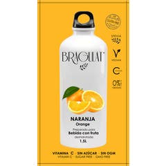 Boisson soluble à l'orange Bragulat 9gx15uds