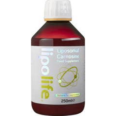 Lipolife Liposomal Carnosina 250ml