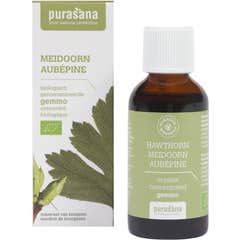 Purasana Aubepine Gemmothérapie 50ml