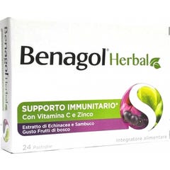 Reckitt Benckiser Benagol Herbal Fruits Sauvages 24 Pastilles