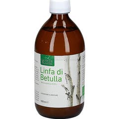 Ligne de Plantes Sève de Bouleau Bio 500ml