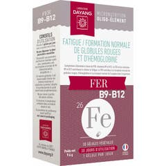 Dayang Fer B9 B12 30 Gélules