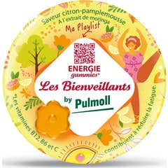 Les Bienveillants Energie Gummies 42uts