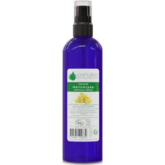 Voshuiles Hydrolat d'Hélichryse Cosmos 200 ml