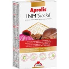 Inm'shitake 60 Casquette Intersa