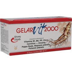 Gelarvit*2000 28Fl.10Ml