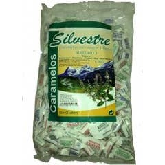 Silvestre Romero Caramelos Bio 150g