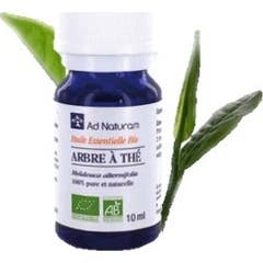 Aromaya He Eucalyptus Globulus 10mL
