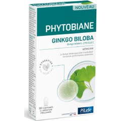 Phytobiane Ginkgo Biloba 30 Comprimés