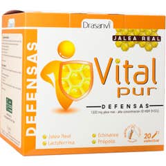 Drasanvi Vitalpur Gelée Royale Défenses 20 u. x 15 ml