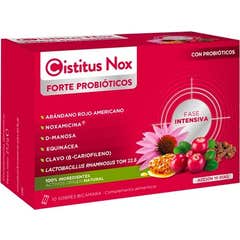 Cistitus Nox Forte 10 Sachets