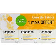 Bailleul-Biorga Ecophane Cpr 60 Lot 3