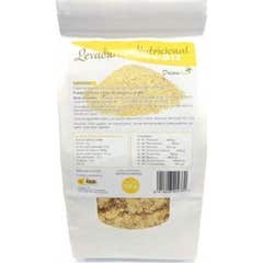Dream Foods Levure Nutritionnelle + B12 250g
