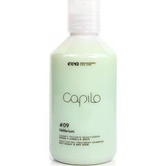 Eva Professional Capilo Ekilibrium Shampooing 09 300 ml