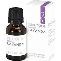 Energyaloe Essence de Lavande 17ml