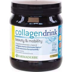 BOISSON AU COLLAGÈNE ET AU CITRON 295G