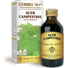 Dr. Giorgini Gemmo 10+ Érable Campestris 500ml