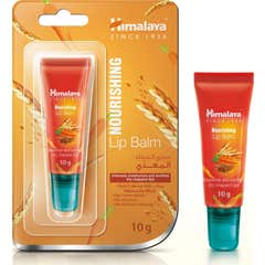 Himalaya Baume à lèvres nourrissant 10 g