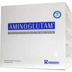 Errekappa Euroterapici Aminoglutam 14 Sachets