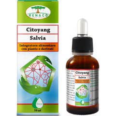 Citoyang Citoyang Gouttes de sauge 50ml